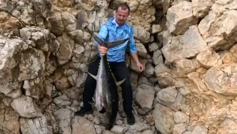 Saros Koyu'nda Oltaya Takılan 30 Kilo Ağırlığındaki Balık Şaşkınlık Yarattı