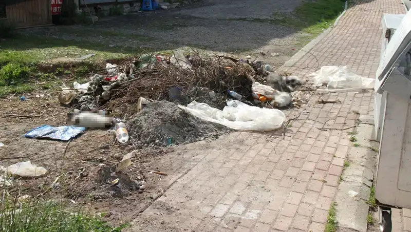Antalya’da Şok Eden Vahşet: 10 Kedi Ölü Bulundu!