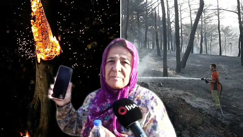 Çanakkale'deki Orman Yangınları Kontrol Altına Alındı: Geride Kalan Kayıplar Neler?