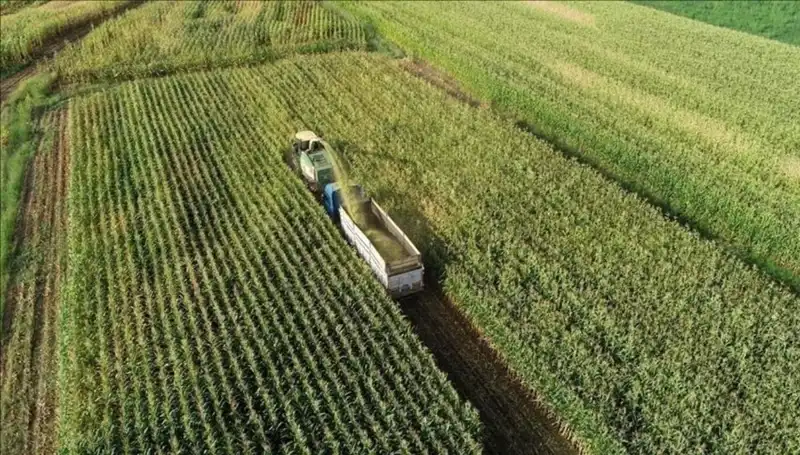2025 Mart Ayında Mazot ve Gübre Desteği Ödemeleri Hakkında Tüm Bilgiler
